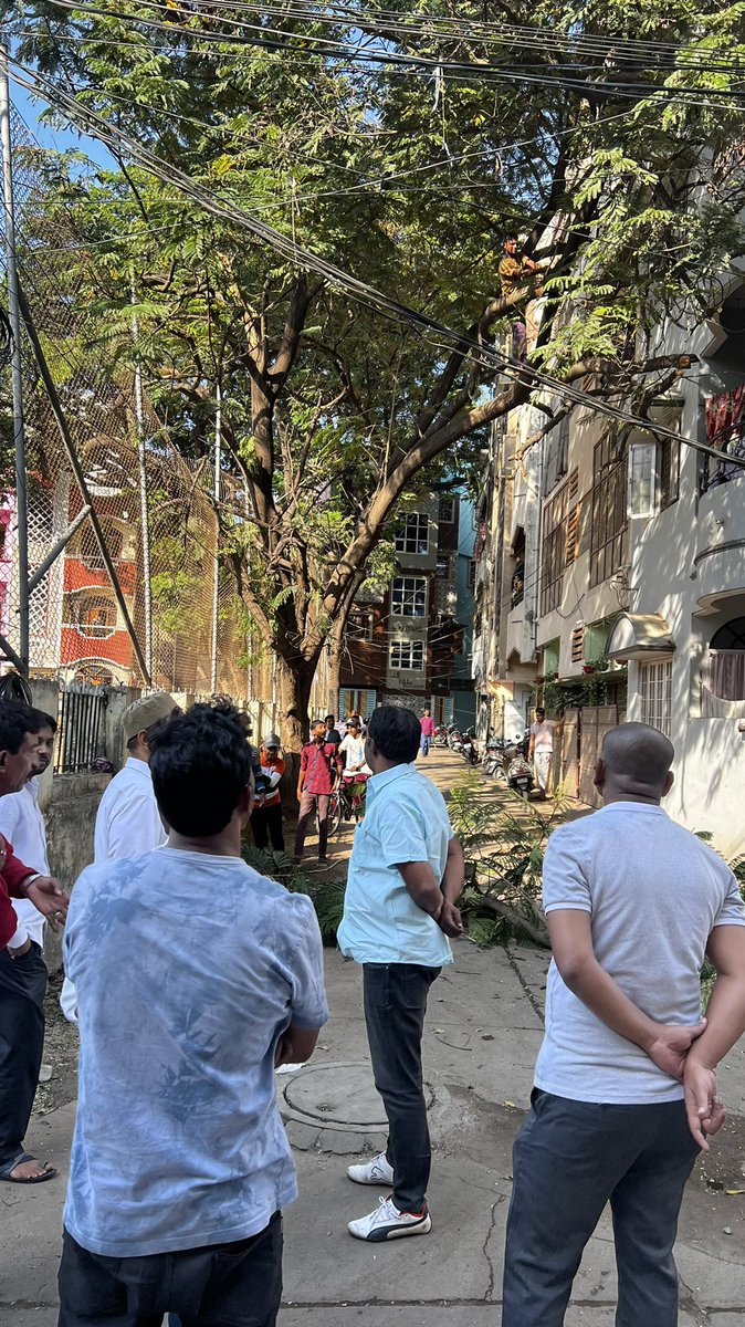 ZafarCorporator's tweet photo. On Instructions of @aimim_national President @asadowaisi sb, &amp; @Jaffarhusainmla sb,@ZafarCorporator along with Area Presidents &amp; @GHMCOnline Urban Bio Diversity Team Supervised Tree Cutting at Nampally Hospital &amp; Habeebnagar Under Mallepally Division https://t.co/C6rXAzGHQC