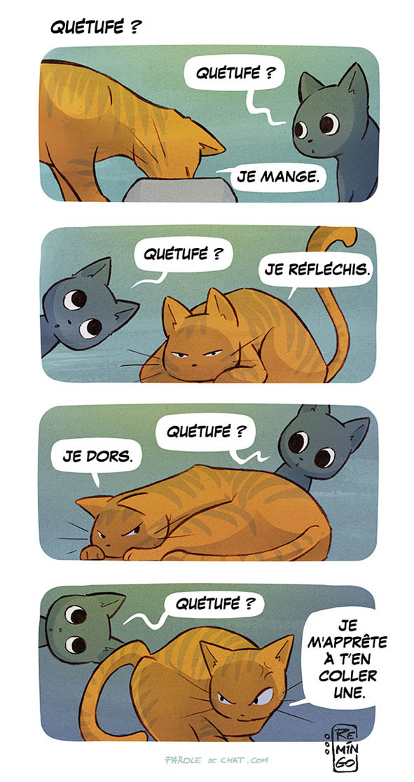 Parole De Chat Faireset Twitter