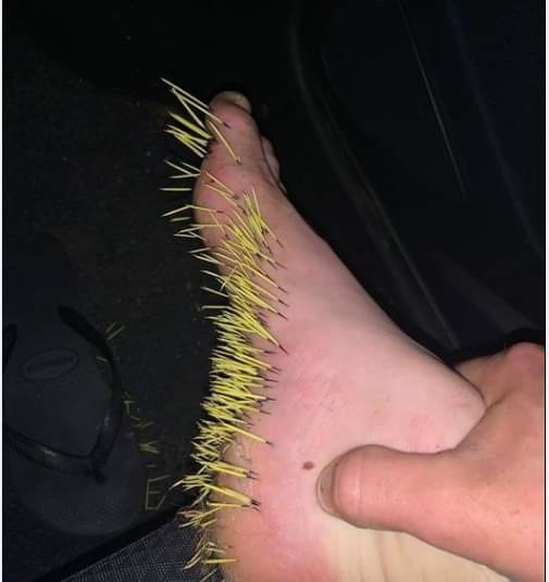 If you're gonna kick the cat, make sure it's the cat....
