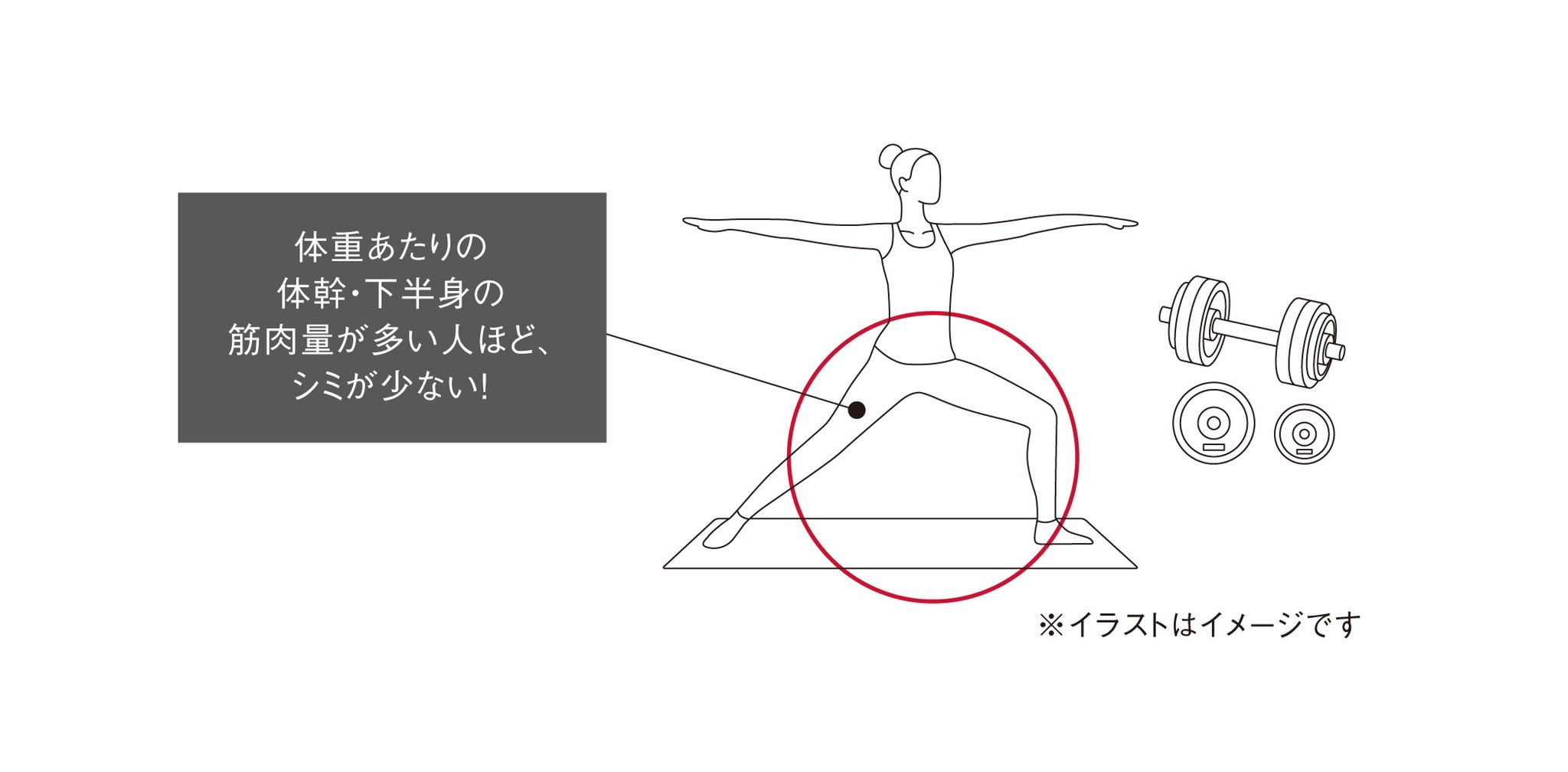 下半身の筋肉量が多いと 顔のシミが少なくなる 話題の画像プラス