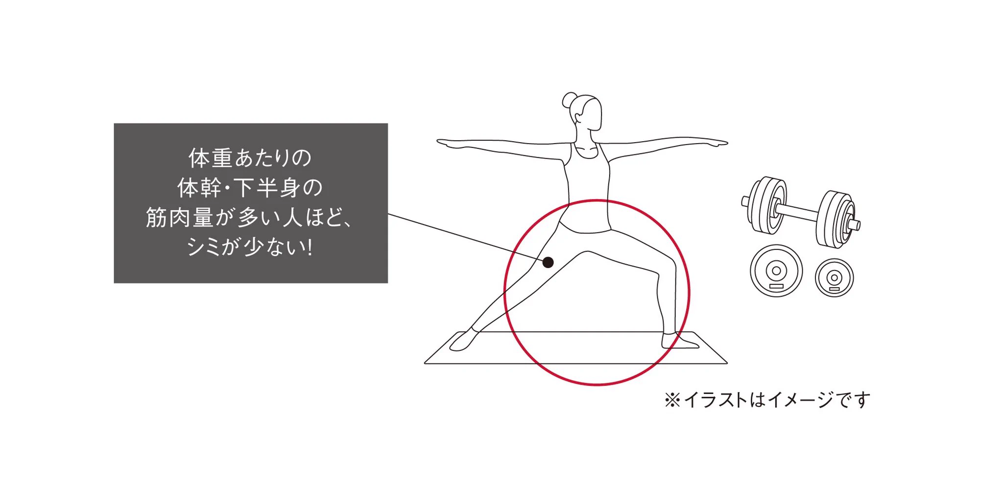 下半身の筋肉量が多いと、顔のシミが少なくなる！？