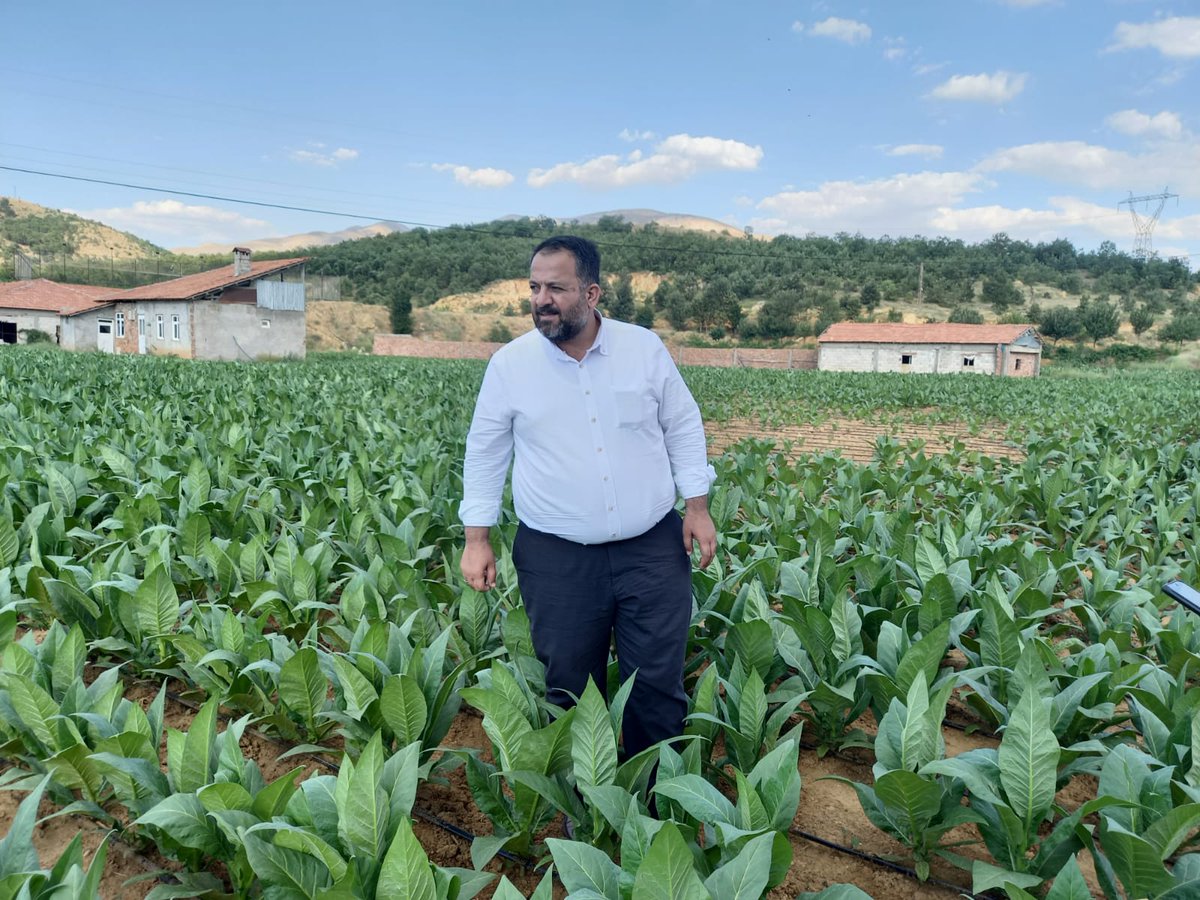 Tiryakiler don't panic! Hepinize yetecek kadar tütünümüz var. Yeter ki hükmet Amerikan tütüne verdiği yasal desteği Adıyaman tütününe de versin.😎
#sigarazammı
Adıyaman