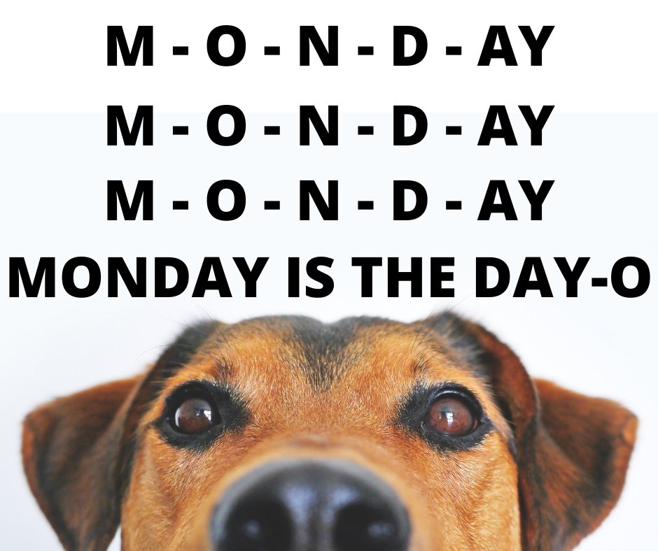 mikemorganreo's tweet photo. Here's a little ditty for your M-O-N-D-AY! How's it going? Share in the comments. #monday #happymonday #mondayditty https://t.co/3cqTbB1203