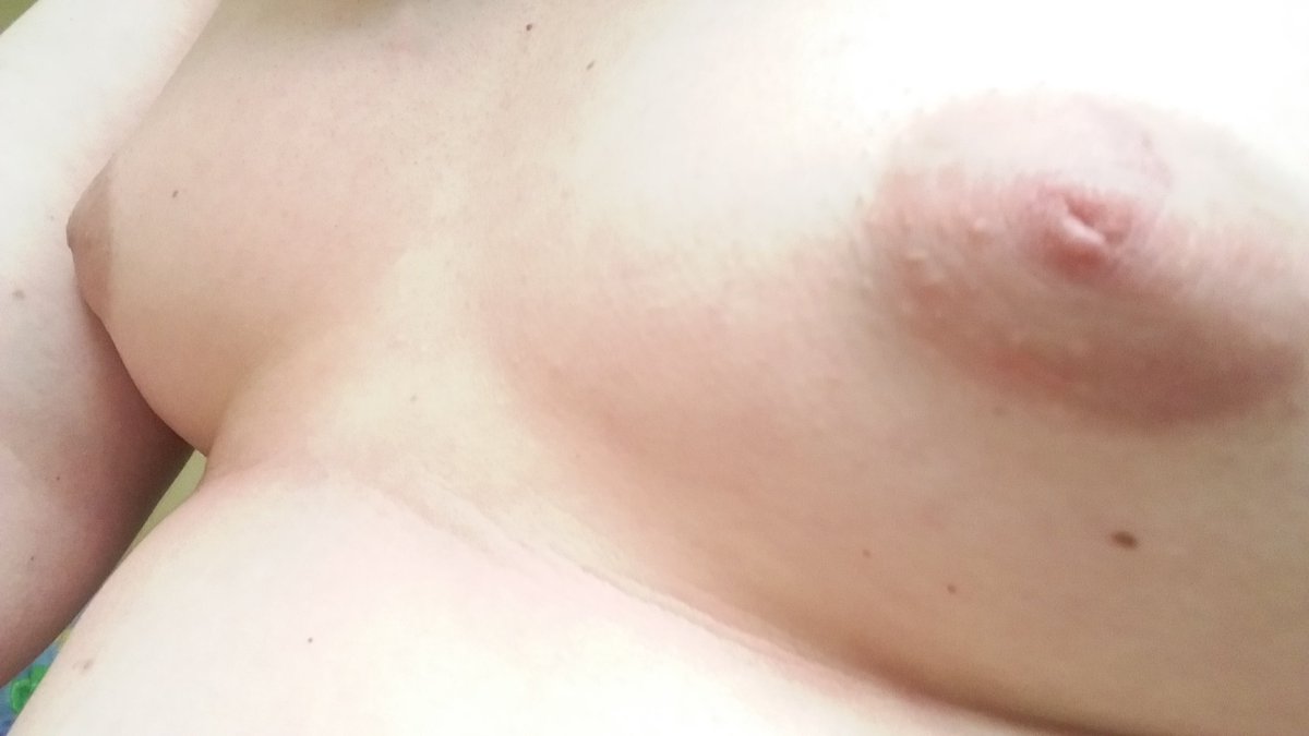 pet the bear tweet media