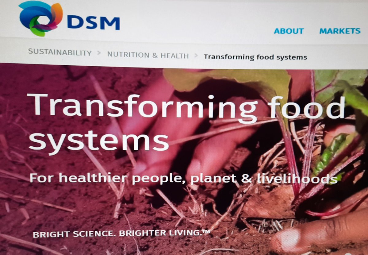 Jacobine Mannak tweet media