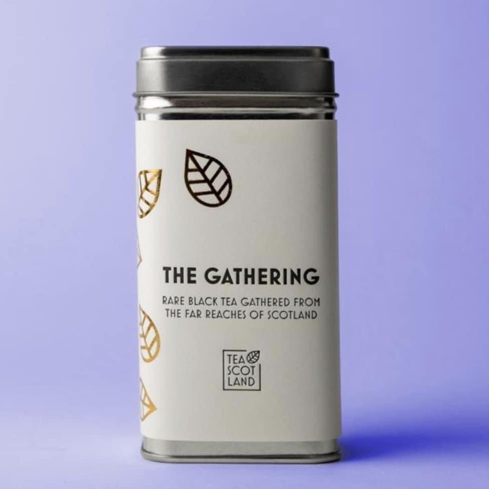 scottish_tea's tweet photo. We are very proud to be part of this exciting Scottish Tea
A collaboration between eight of our #teascotland members, where the fresh leaf is picked on the same day at the individual tea gardens and then gathered together to be processed at the Scottish tea factory#scottishtea https://t.co/5n0c6ywxta