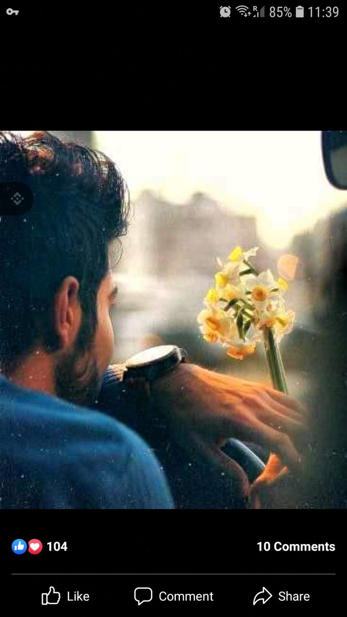 RashkaBaari's tweet photo. Ha abuurin dhir 🍀 hadii adan aqoonin sida loo waraabiyo dhirta loogana ilaaliyo cayayaan🦅, taas micnaheda qalbigaga ♥️Ha siin qof aan xafidan karin🙅.
#keepyourmind https://t.co/EUZZZuq2fk
