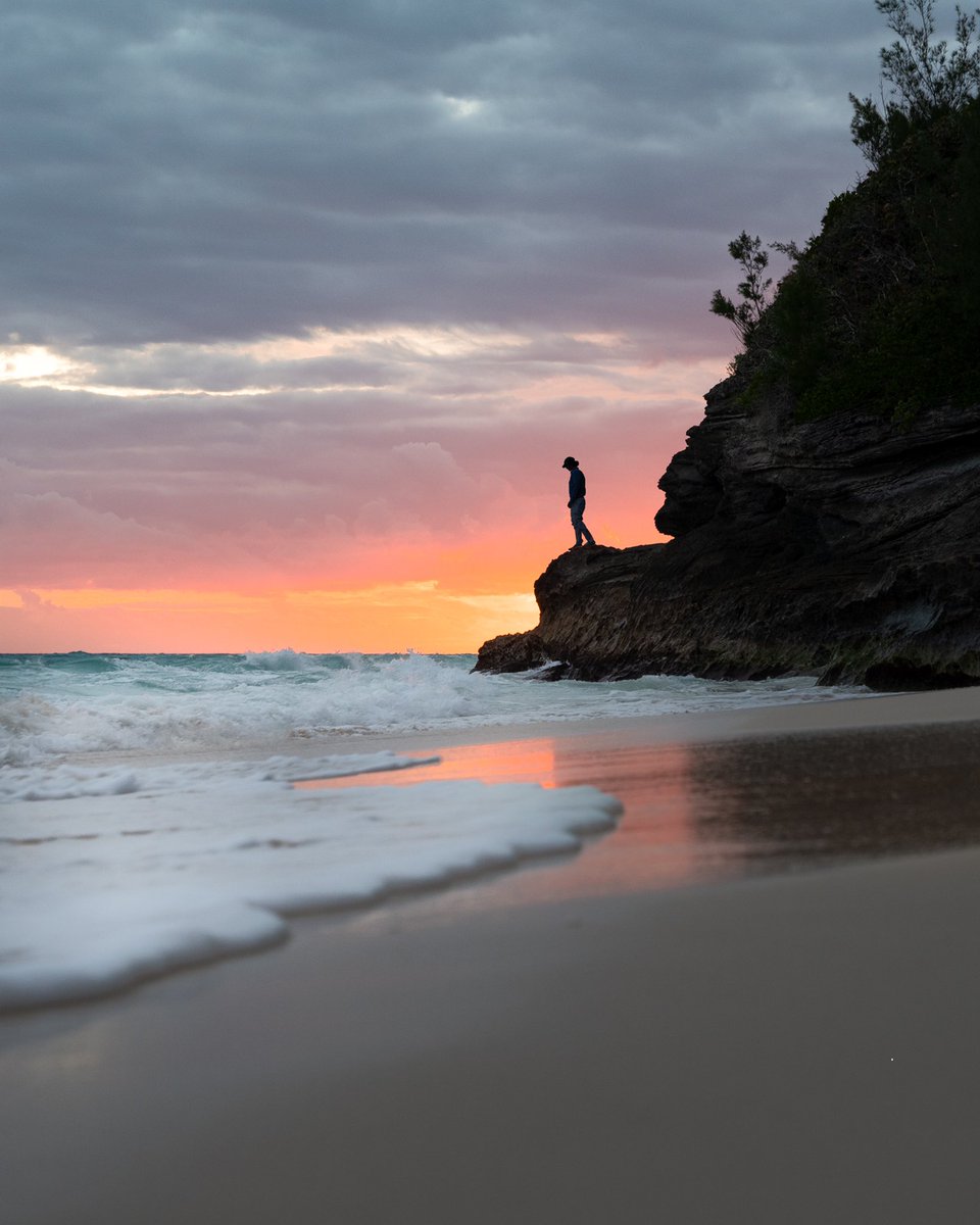 olliefearing's tweet image. gm 🐚