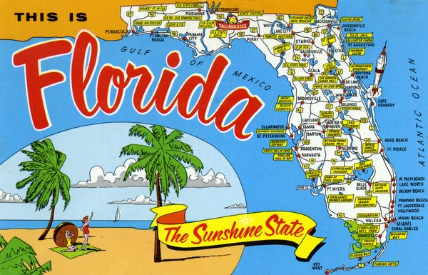 FloridaMSP tweet picture