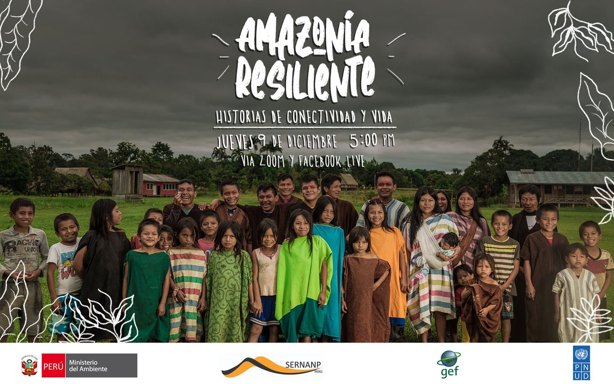 PNUDperu's tweet photo. Nuestro bienestar depende de la Amazonia y de quienes la conservan🌳

Este 9 de diciembre hablaremos de los esfuerzos de nuestra iniciativa #AmazoniaResiliente para cuidar 17 millones de hectáreas de patrimonio natural.

Registro: https://t.co/2PIvMHozeT https://t.co/5h3a5AdNHZ