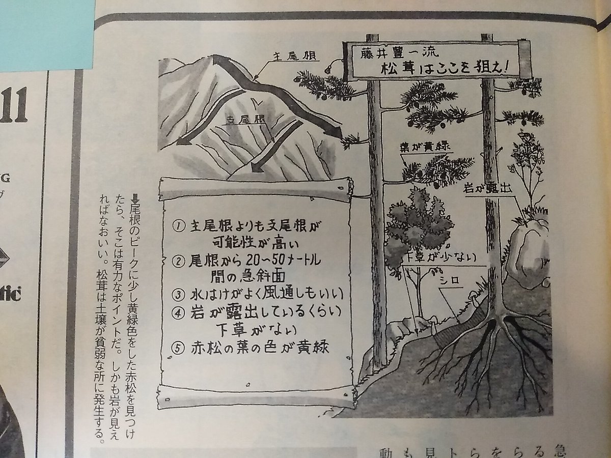 過去仕事イラスト17 