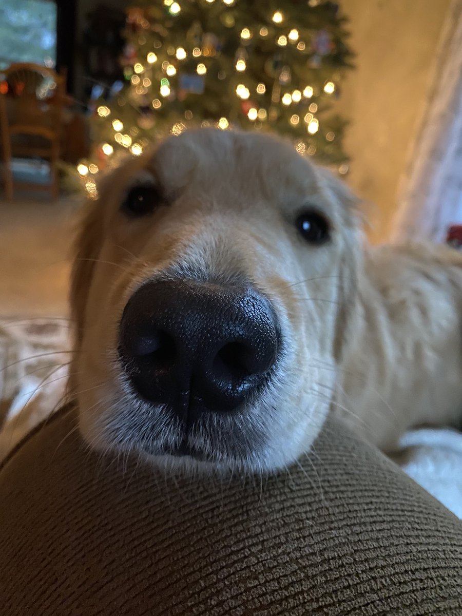 Emily Linnert tweet media