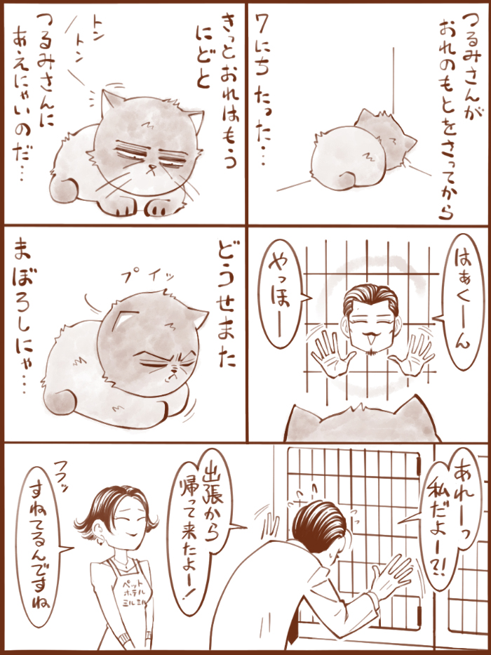 夢じゃなかった尽忠ねこ 