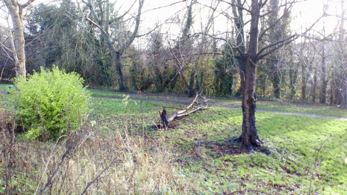 CreweWestPol's tweet photo. There is a tree across the Valley Park path from Wistaston Road to Walthall Street. This has been reported.

#CreweWest #WeCare https://t.co/9VfU4Xn61a