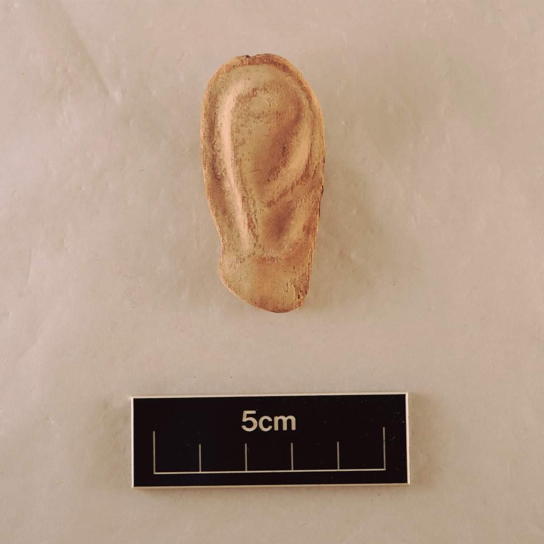 GarstangMuseum's tweet photo. #Mondaycalling and we have a right #ear that will #listen! ๐
E.7117
#ancientEgypt #museum https://t.co/bXQcvnCFvl