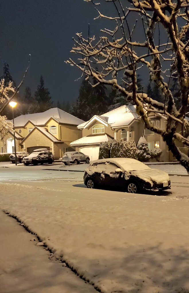 2010patrick's tweet image. A couple of inches of snow on the ground on Burke Mountain this morning. Stay safe on the roads. @bc_storm_watch @CBCEarlyEdition