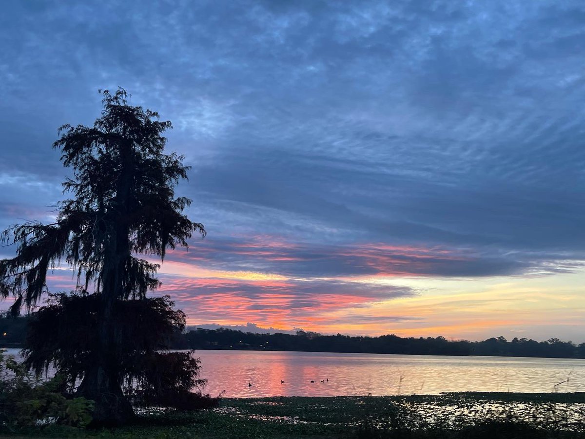 telhiard's tweet photo. #onthewaytowork #sunrise #lsulakes #onlylouisiana #MondayMorning https://t.co/wHYELIGIfv