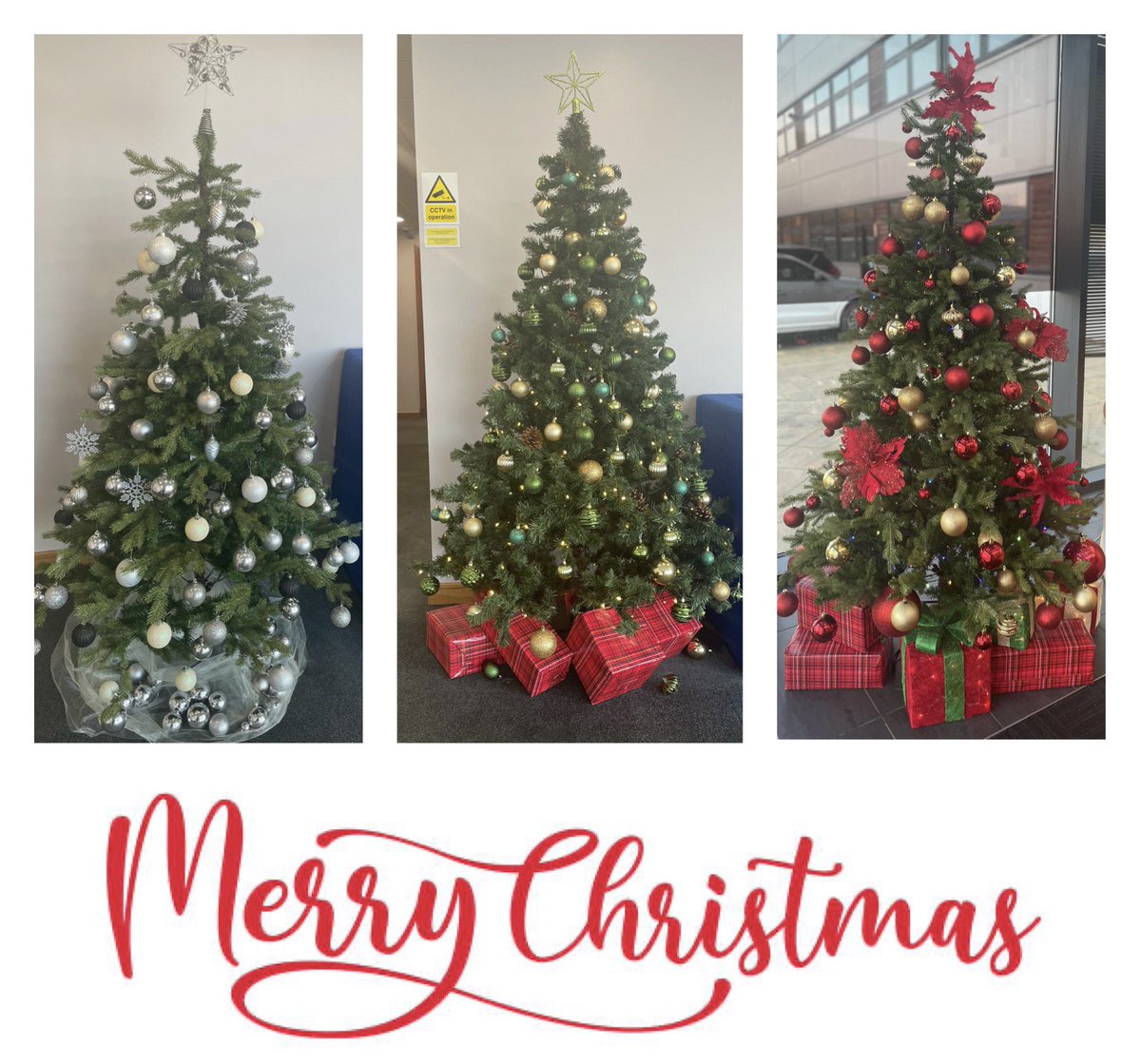 warrenbruce's tweet photo. We are Christmas ready here at WBC. Merry Christmas All 🎄🎅🏻 🤍 https://t.co/810Y00bR2P