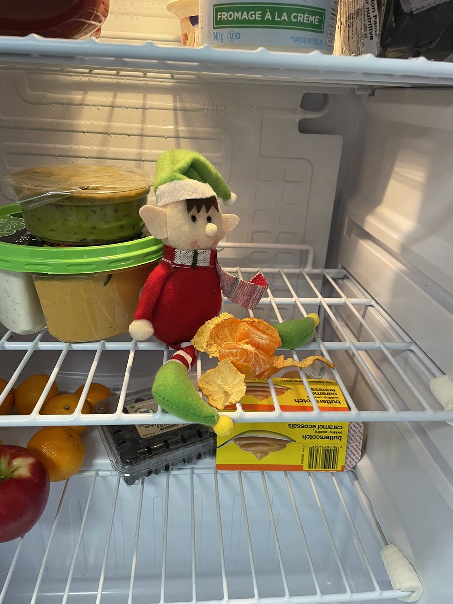 This morning, we found Chicken Max having a nice healthy snack in the fridge 🍊 
<a href="/JAMMustangs/">McWilliam Mustangs</a>