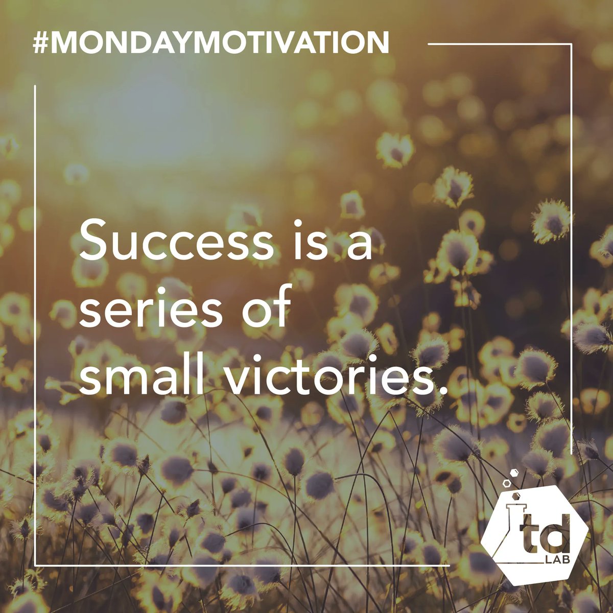 tandemdesignlab's tweet photo. Celebrate the little victories, because the small victories add up to BIG victories. 
.
.
.
.
#mondaymotivation #breckbusinesses #mondaymotivations #motivationalquotesoftheday #entrepreneurmotivation #inspirationalquotes #businesstips101 #businessgoals https://t.co/PvyYLWGNum