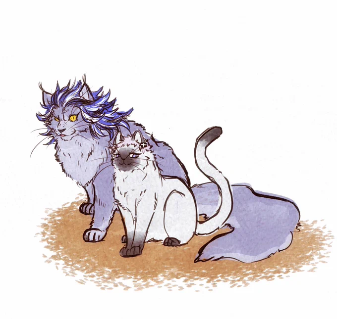 ネコチャ🦁🍯 