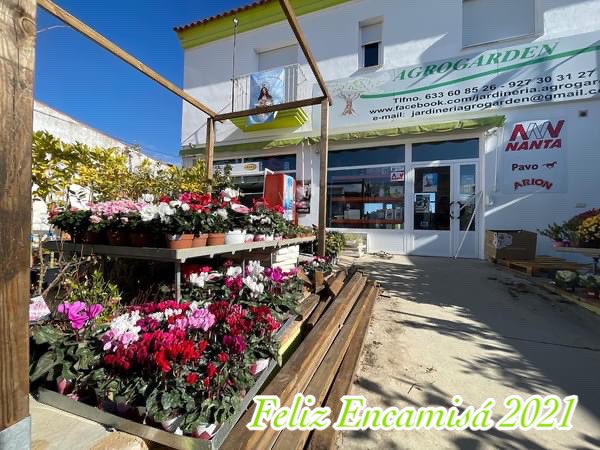 🌸 FELIZ ENCAMISÁ 2021

👉🏼 Deseamos a todas y todos nuestros clientes unas felices fiestas de #LaEncamisá2021 y recordamos que el día 7 abrimos de 09:30 h. a 13.30 h.

👋🏼 ¡VIVA MARÍA INMACULADA!