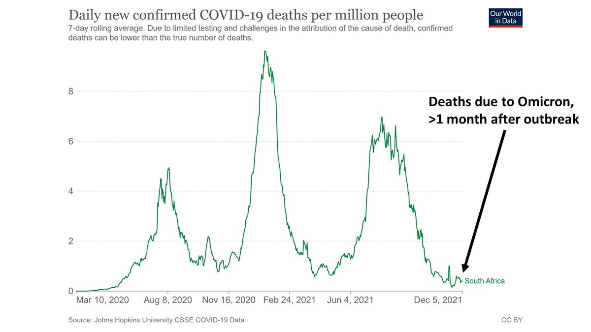 davidwdowdy's tweet image. Just to confirm that this is what we&apos;re panicked about.

I know there&apos;s a lag between infection and death.

But Omicron has been circulating in South Africa for over a month, and we&apos;re only seeing 20 COVID deaths/day nationwide.

With no increase.

In a population of ~60 million.