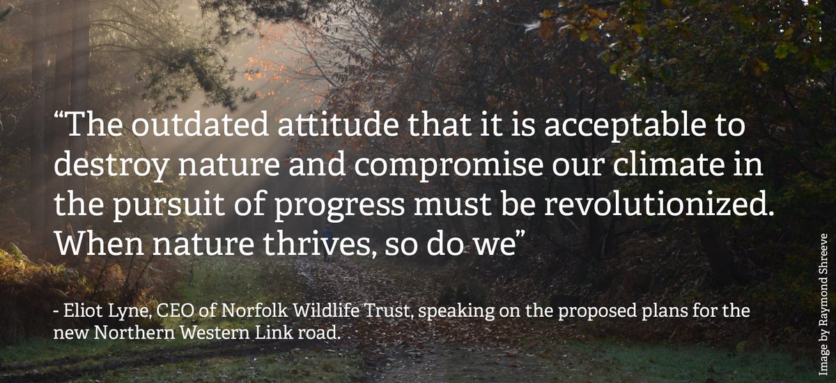 Norfolk Wildlife Trust tweet media
