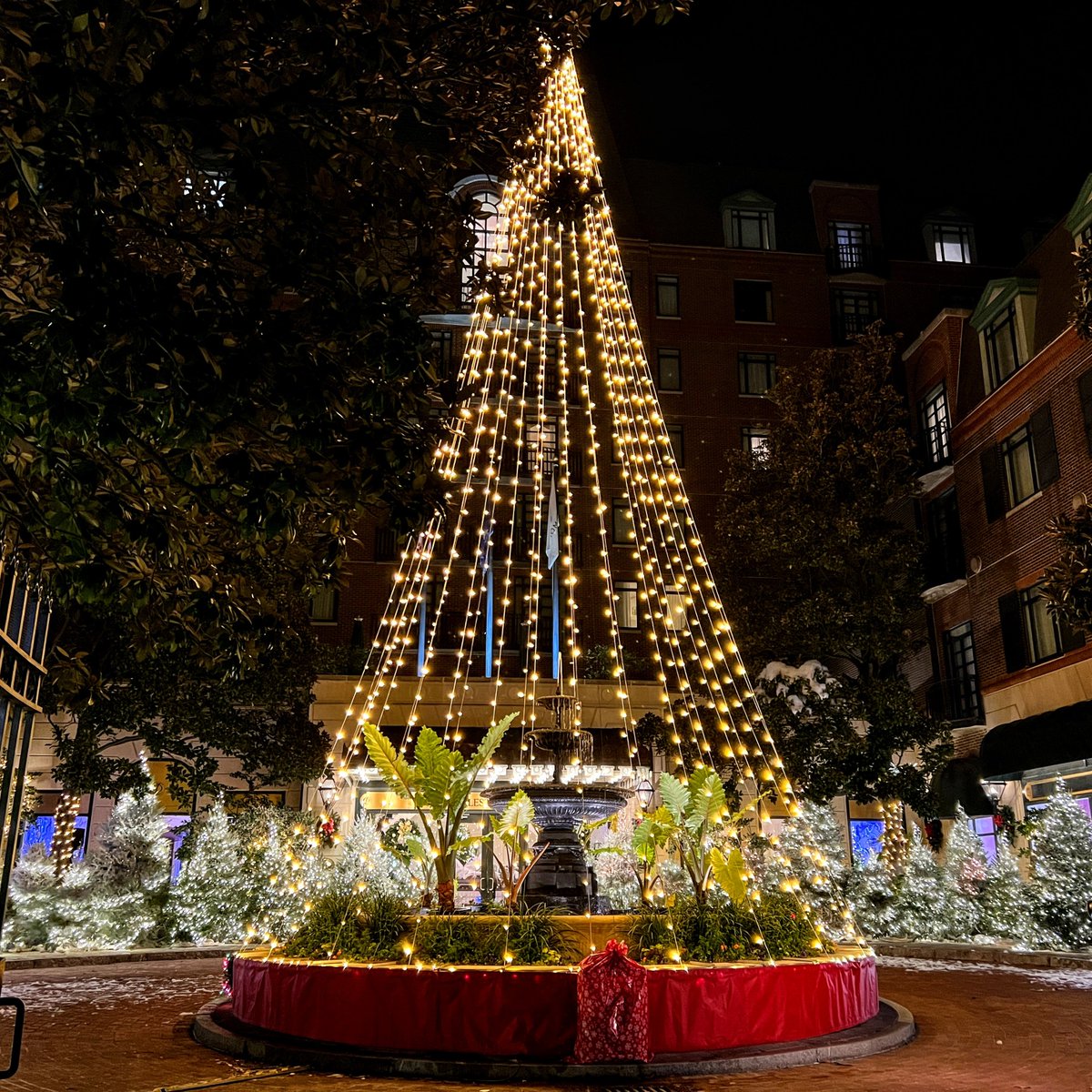 mblshutterbug's tweet photo. 📷 iPhone 13 Pro Max
📍 Charleston, SC 

#MobileShutterbug #MobilePhotography #Photogram #PhotoOfTheDay #Travel #iPhonography #ShotOniPhone #CHS #CharlestonSC #Christmas #ChristmasTree #ChristmasLights https://t.co/bKZeGdTn3p