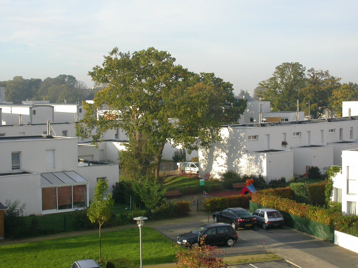 La charte de l'arbre de la... prigent-associes.fr/actualites/la-…