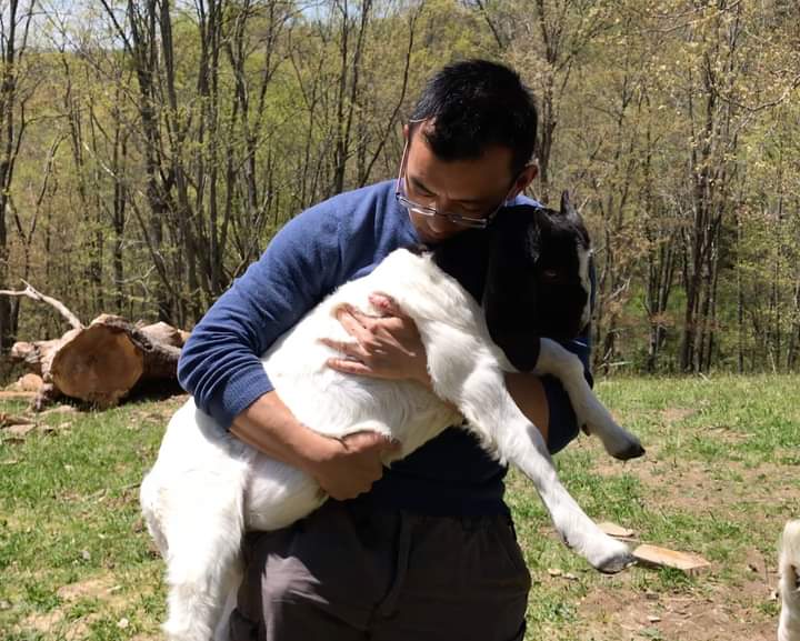 dxeverywheresf's tweet photo. CHAPTER MEMBER OF THE WEEK:
Wayne Hsiung
As the co-founder of DxE, Wayne has been involved w/DxE since the beginning. There's way too much to say about his impact. He is facing off against the State of North Carolina, faces 2 felony charges for rescuing, Rain, a sick baby goat... https://t.co/wr8L4Rcv7j
