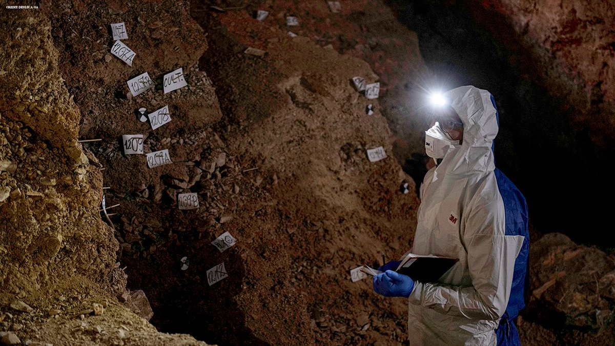 Science Magazine tweet media