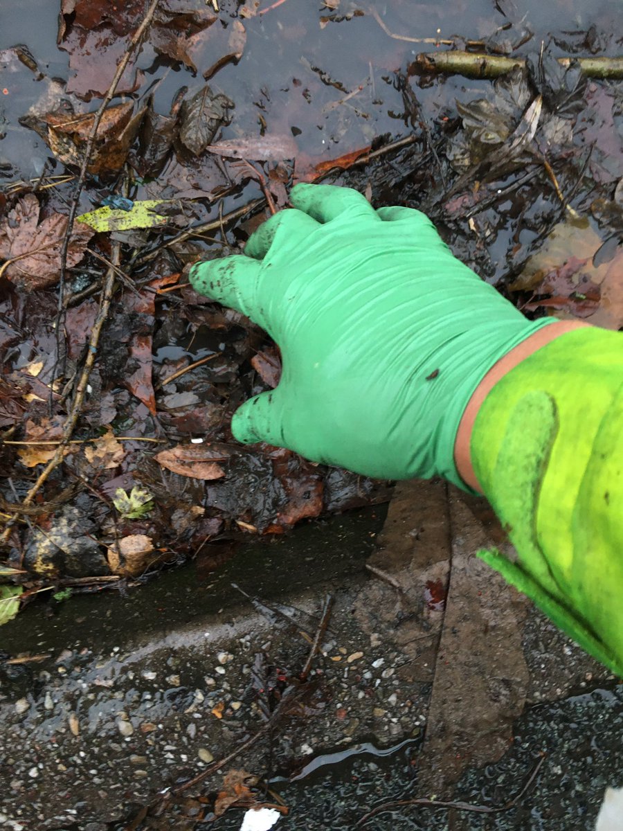 Crewe_Ranger's tweet photo. #HandsOn 🖐🏻readjustments to prevent #flooding from the @CreweTCouncil Ranger🦸🏼‍♀️🦸🏾‍♂️🦸🏼‍♀️🧹 #Service with a #Smile 😁 https://t.co/808khhgOR5