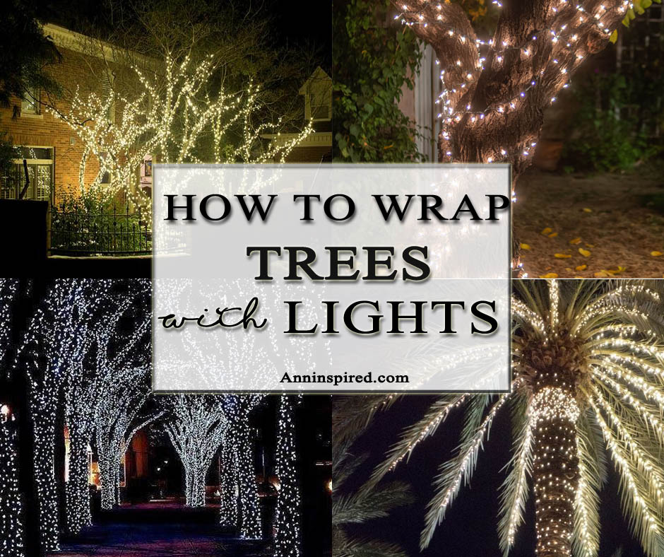 AnnInspiredBlog's tweet image. How to Wrap Trees with Outdoor Lights🌴
anninspired.com/wrapping-trees…
#treelights #wrapptreewithlights #outdoorlights #garlandfortree