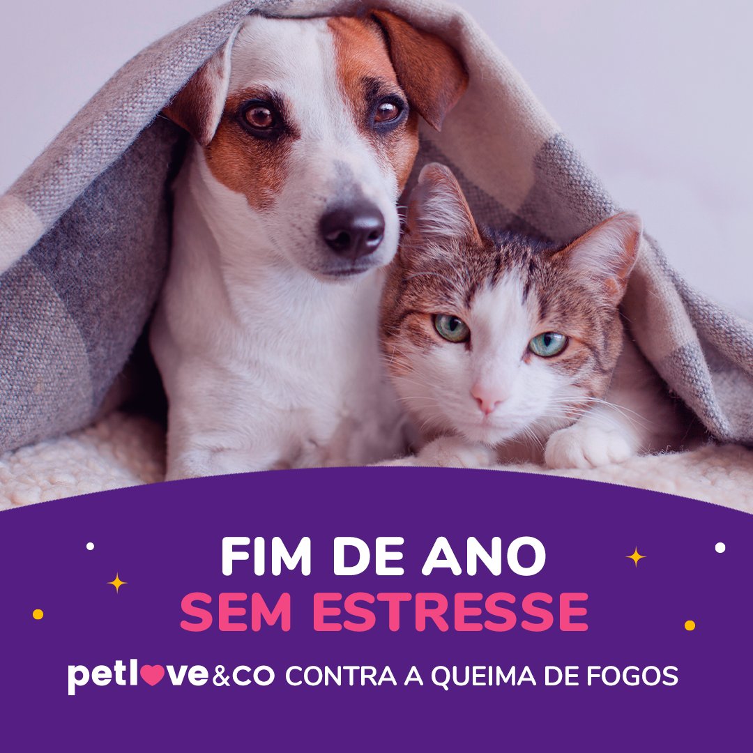Petlove on Twitter: Petlove on Twitter: