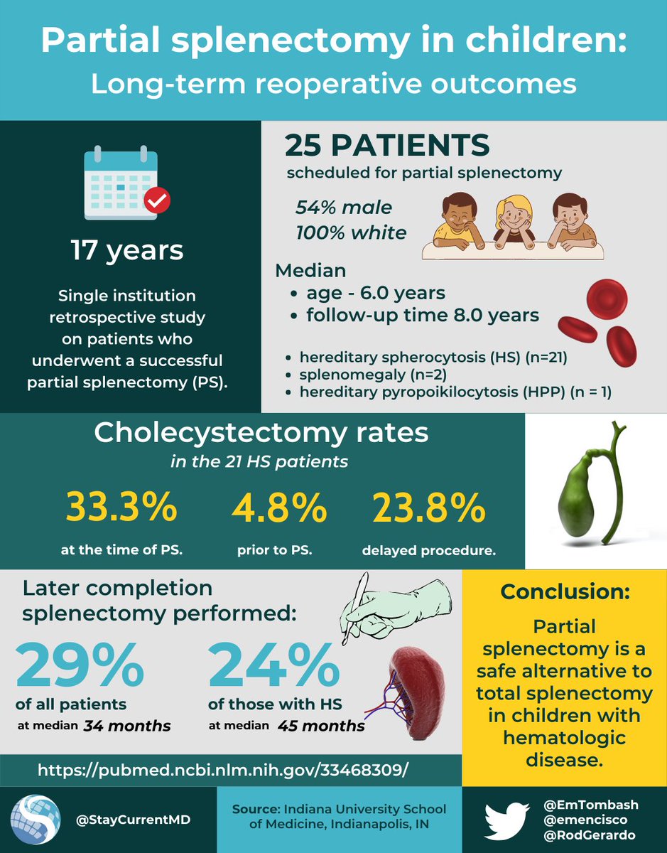 StayCurrentMD's tweet image. 📄 New Infographic!
"Partial splenectomy in children: Long-term reoperative..."
Hafezi et al.

Full article: jpedsurg.org/article/S0022-…

Infographic created by
@EmTombash 
@emencisco 
@RodGerardo 

#SoMe4PedSurg #pediatricsurgery #splenectomy #JPS