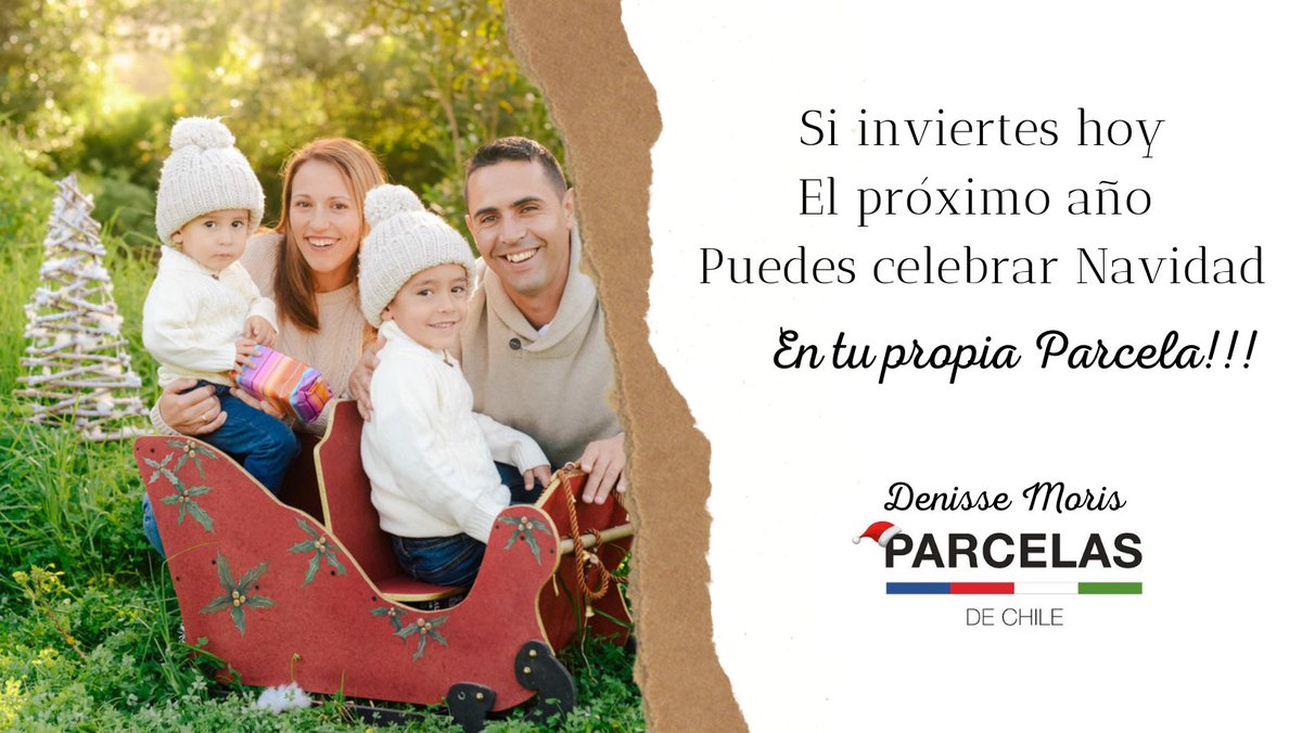 Denisse Moris tweet media