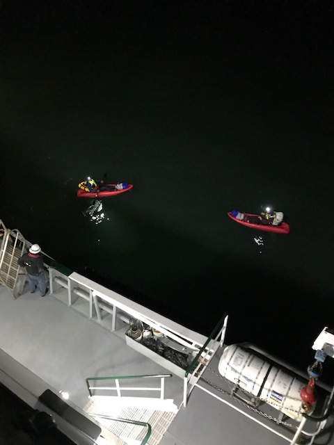 FossMaritime's tweet photo. Kudos to the crew of the Lindsey Foss! Late Saturday evening, the Lindsey Foss crew rescued two lost kayakers in the North Sound. The crew brought them aboard and returned them to safety. Thanks to the crew for your awareness and timely response!
#alwayssafe #alwaysready https://t.co/GhW69UM27l