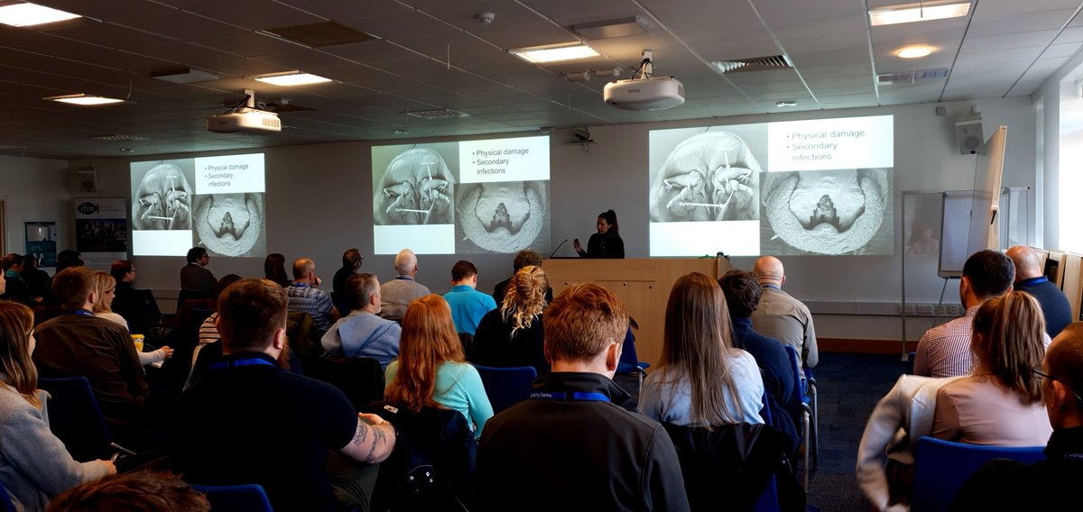 Our Technical Officer Yasmin, presenting on the newly identified #NonNative #parasite Argulus mongolianus, which has caused mortalities in a number of #fisheries in England this year #IFM2021 #TeamEA