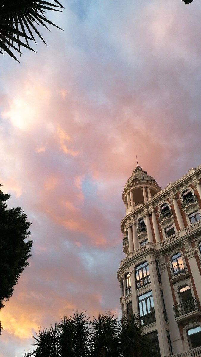 Conchiitt's tweet image. Los domingos así son un regalo ✨