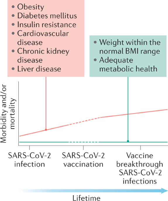 Nature Reviews Endocrinology tweet media