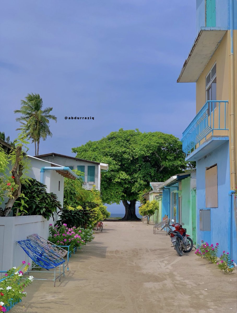 abdulraziqalii's tweet photo. Save Trees 🌱
.
.
.
.
.
.
#Maldives #Raattey #AbdulRaziqAli https://t.co/8TNLxn58yI