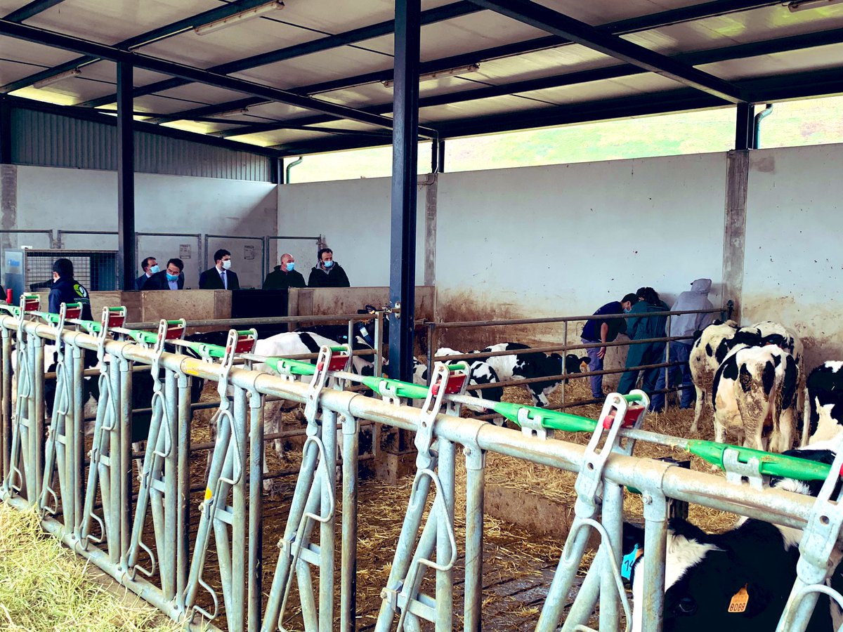 Educacao_PT's tweet photo. Na Escola Profissional de Agricultura e Desenvolvimento Rural de Ponte de Lima, uma das 14 escolas profissionais agrícolas públicas do país, o ME percorreu parte dos 15 hectares da quinta e almoçou na escola, uma refeição confecionada e servida por alguns dos seus 200 alunos. https://t.co/ldUm04pQ43