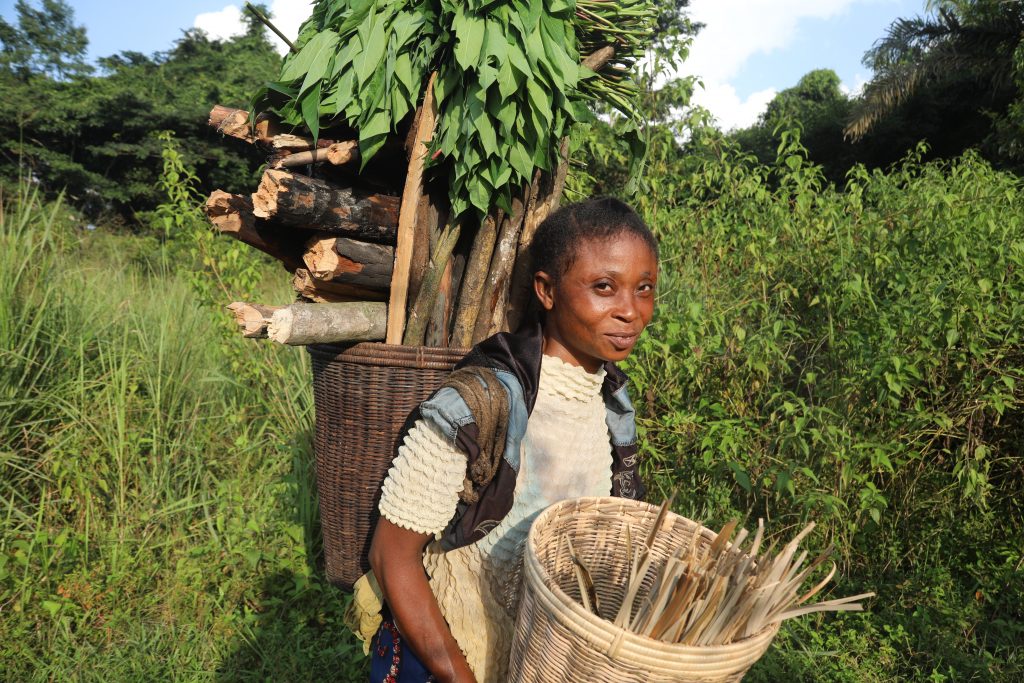 SFB_Magazine's tweet photo. Advocates for #communityforests argue the best chance for humanity to turn around rampant #deforestation is through a grassroots approach: giving power back to the people.

https://t.co/4iGePEdhre

#conservation #sustainability #nature #environment  #naturebasedsolutions https://t.co/YfCAzNXkcJ