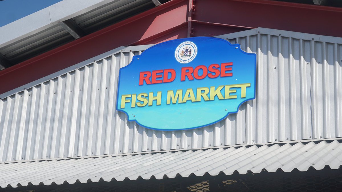 DWilliamsJam's tweet photo. Updates from the opening will be posted and we thank the vendors and the public for their patience in the completion of this project. 50+ stalls, secure storage area, parking lot, public sanitation and sinks with running water and plumbing are built into the #RedRoseFishMarket. https://t.co/1SPpNMeoDj