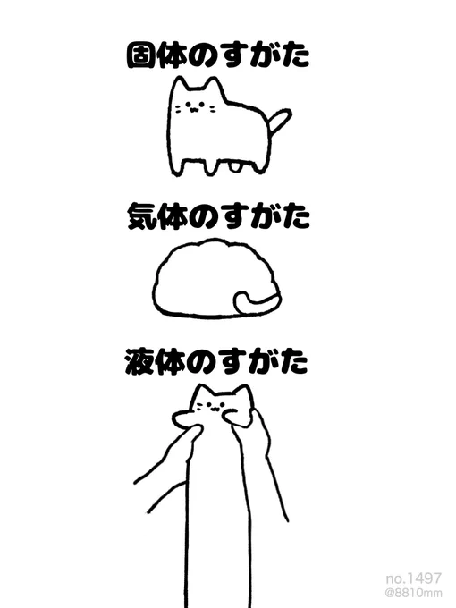 ねこのすがた 