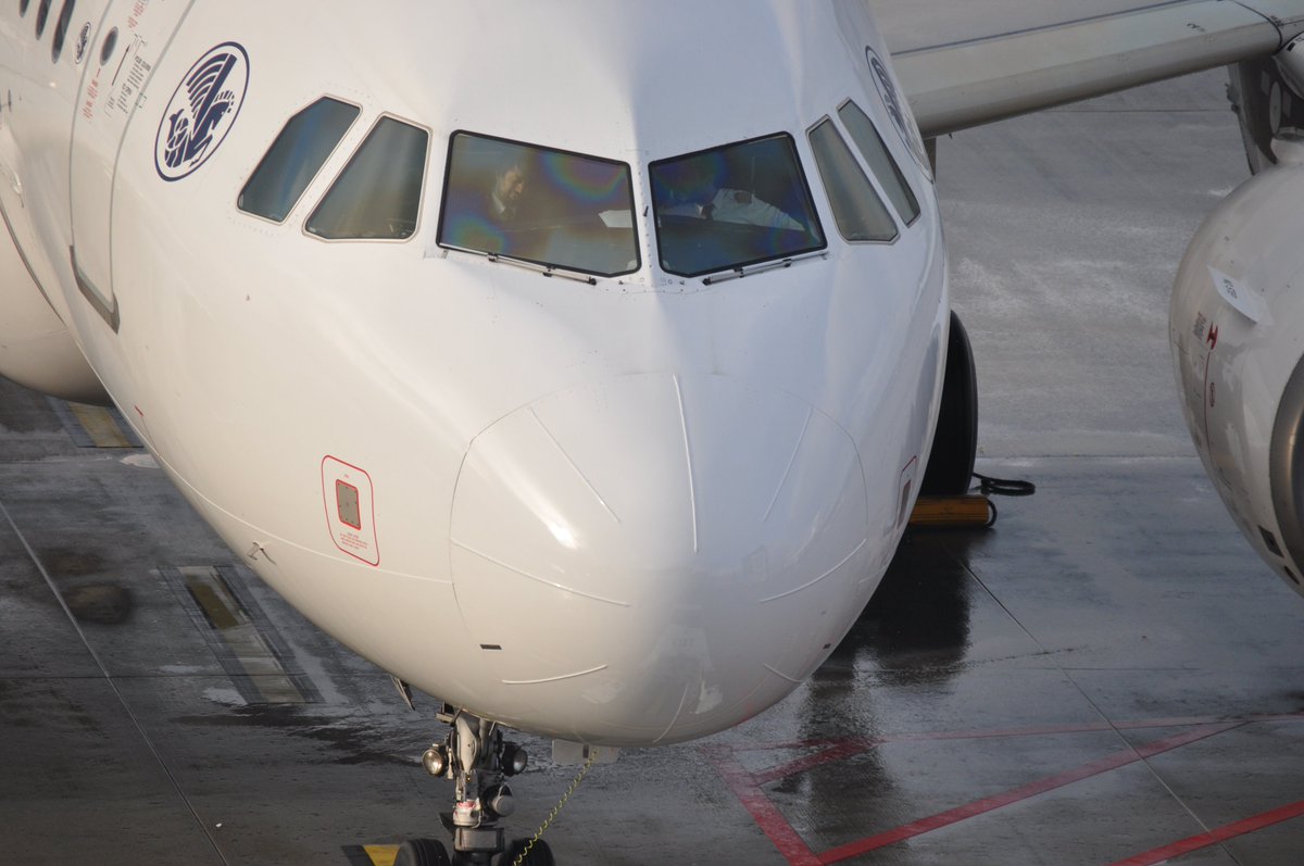 LEBB'spotting tweet media