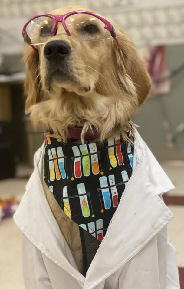 bunsenbernerbmd's tweet photo. SCIENCE IS FOR GIRLS ALSO. #WomenInSTEM https://t.co/wzeXh4JkiC