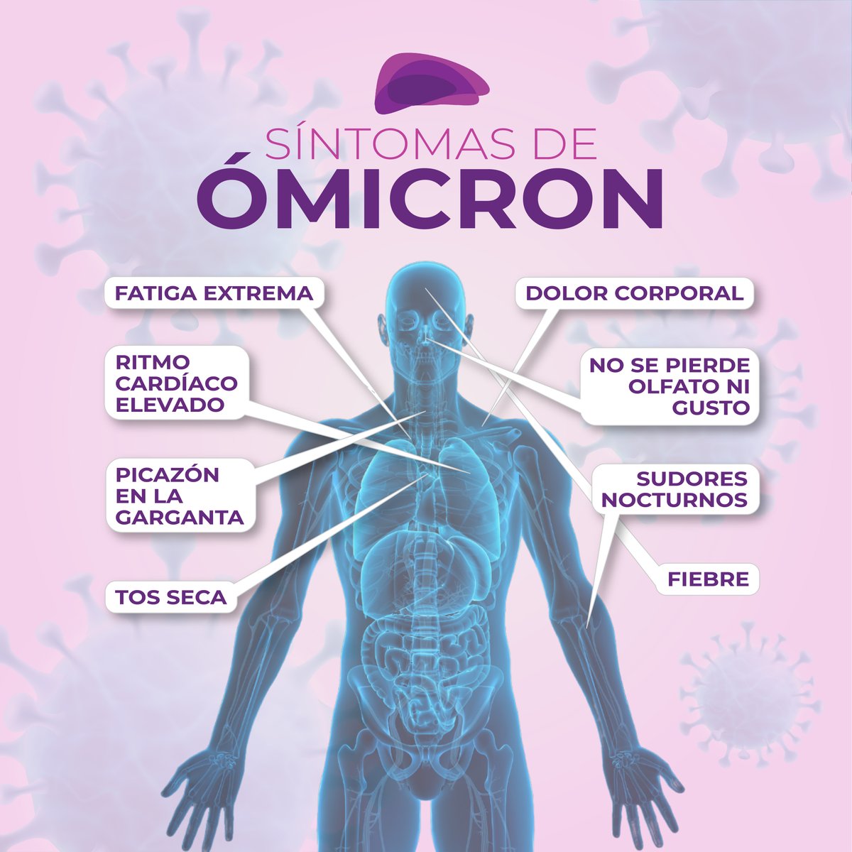 SÍntomas del ÓMICRON

¿Qué debemos esperar en relación al Covid19  para estas Navidades 2021👩‍🔬?

#MaribelLizarzabal #Omicron #SerSaludable #covid